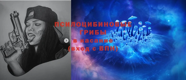 прущая мука Елизово