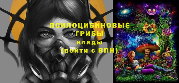 синтетический гашиш Ельня
