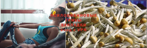 прущая мука Елизово