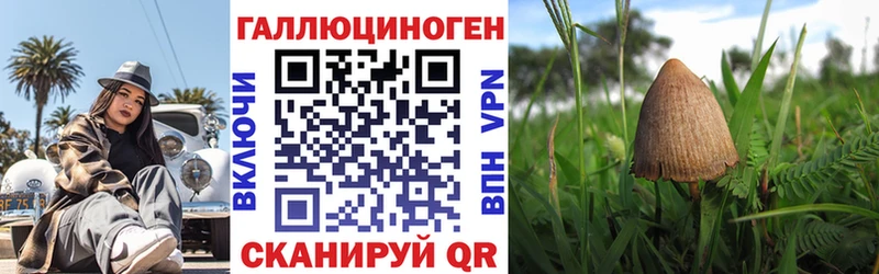 Псилоцибиновые грибы Psilocybe Сыктывкар
